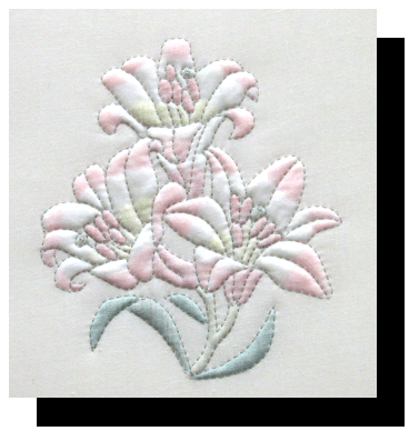 Delicate Lillies